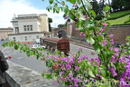 DSC 5043