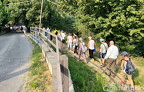 Passeggiata in collina 15