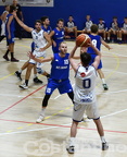 DSC 0200