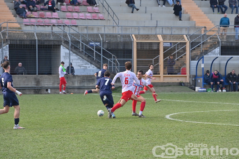 DAR_9995.JPG
