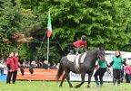 DAR 8274
